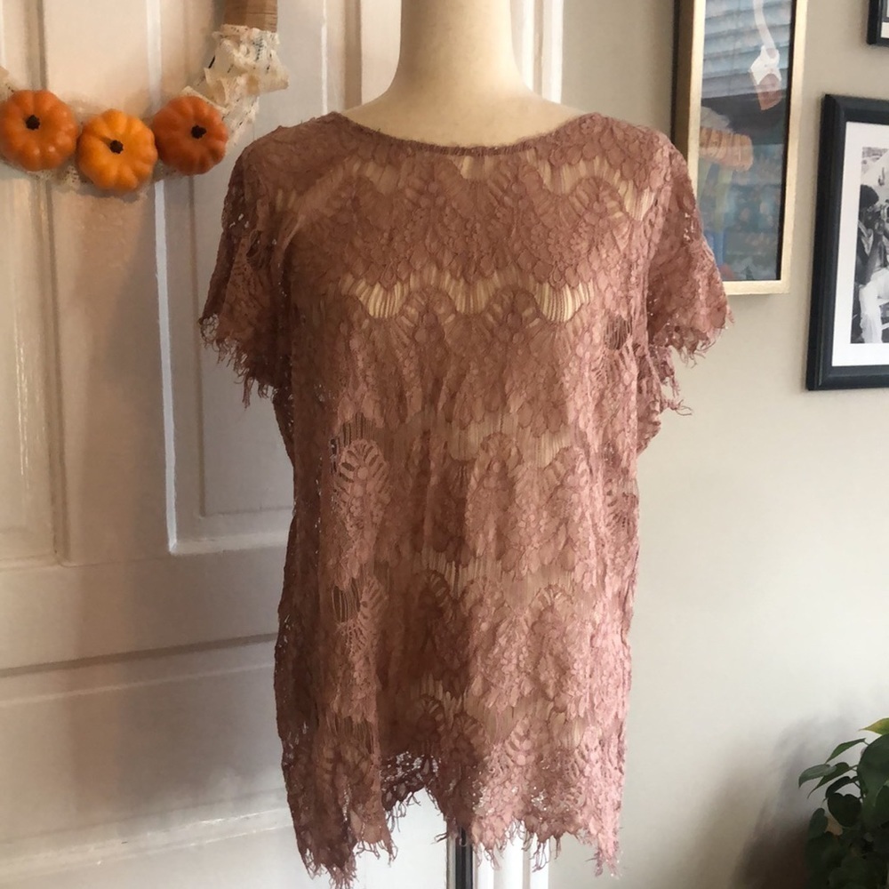INNY Open Back Lace Crew Neck Short Sleeve Top Blouse 2X